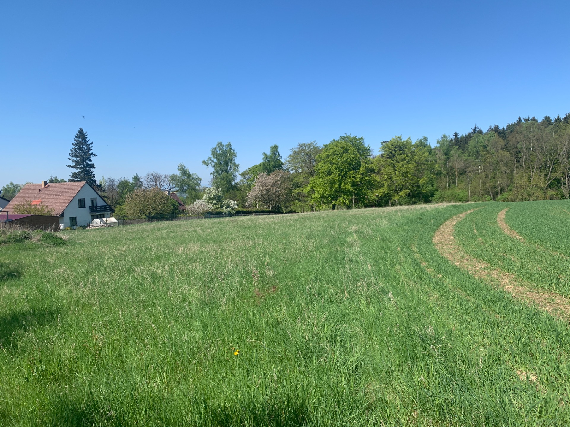 Prodej pozemku Zavidov